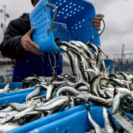 Дом отдыха Bali Casa Da Ilha