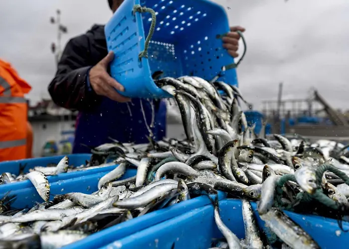Casa de Férias Bali Casa Da Ilha