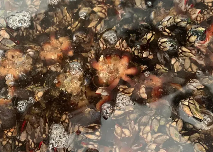 Bali Casa Da Ilha Casa de Férias